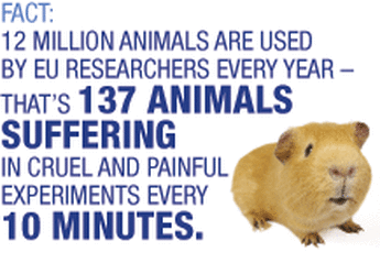 points against animal testing